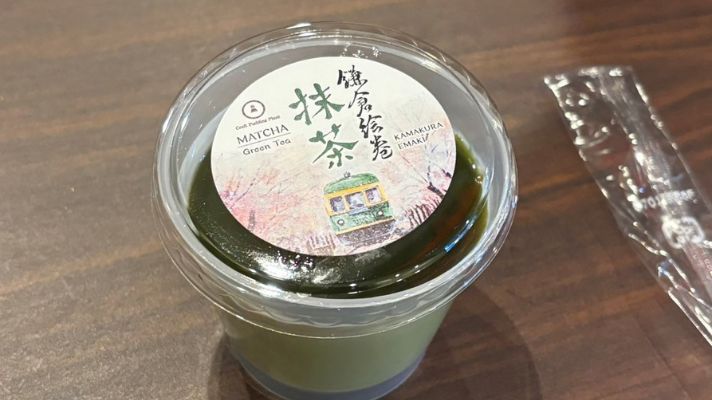 Craft Pudding Plant