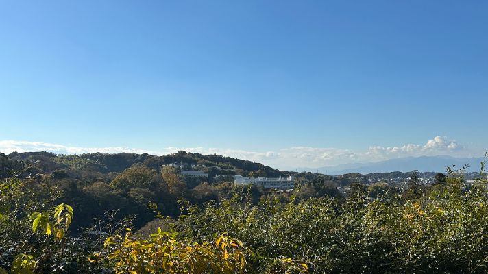 bentenchaya