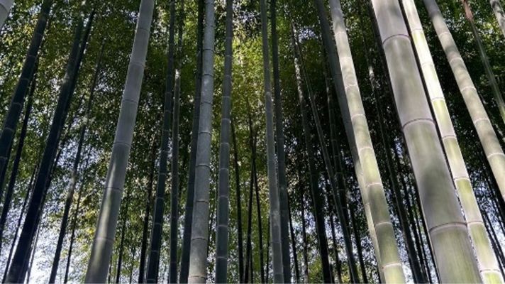 Eishoji Temple in Kamakura